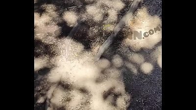 Stefy Quinn cogiendo al aire libre en Neuquen Miralo completo en stefyquinn.com