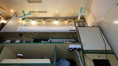 supah uber-cute cherry demonstrating her undies at work