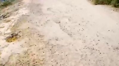 stud took his wife and pummeled stiff