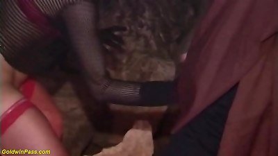 insatiable halloween witches going crazy