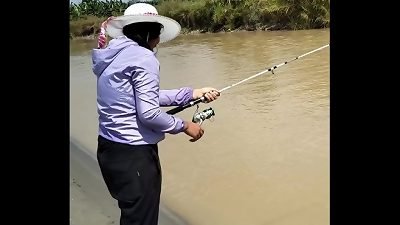 COLOMBIAN FISHING SOLO I offer YOU A DEAL IN exchange FOR THE FISH