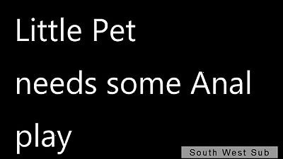 little Pet meets master for the very first time