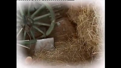 steamy stylish girl in fantastic undergarments pulverized in a barn